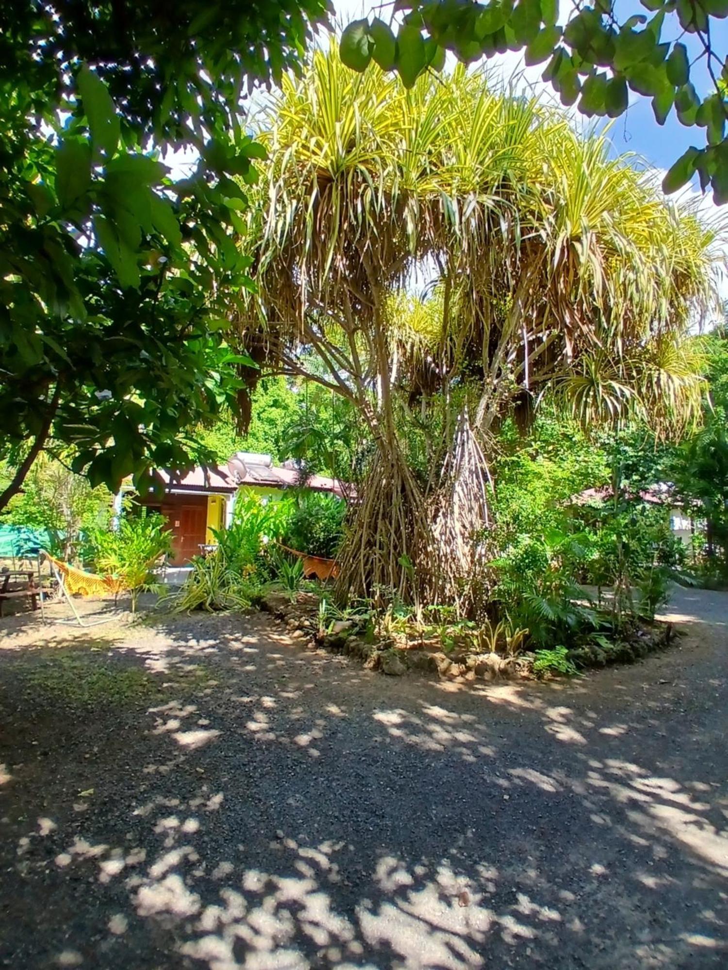 Residence Les Manguiers Pointe-Noire Esterno foto