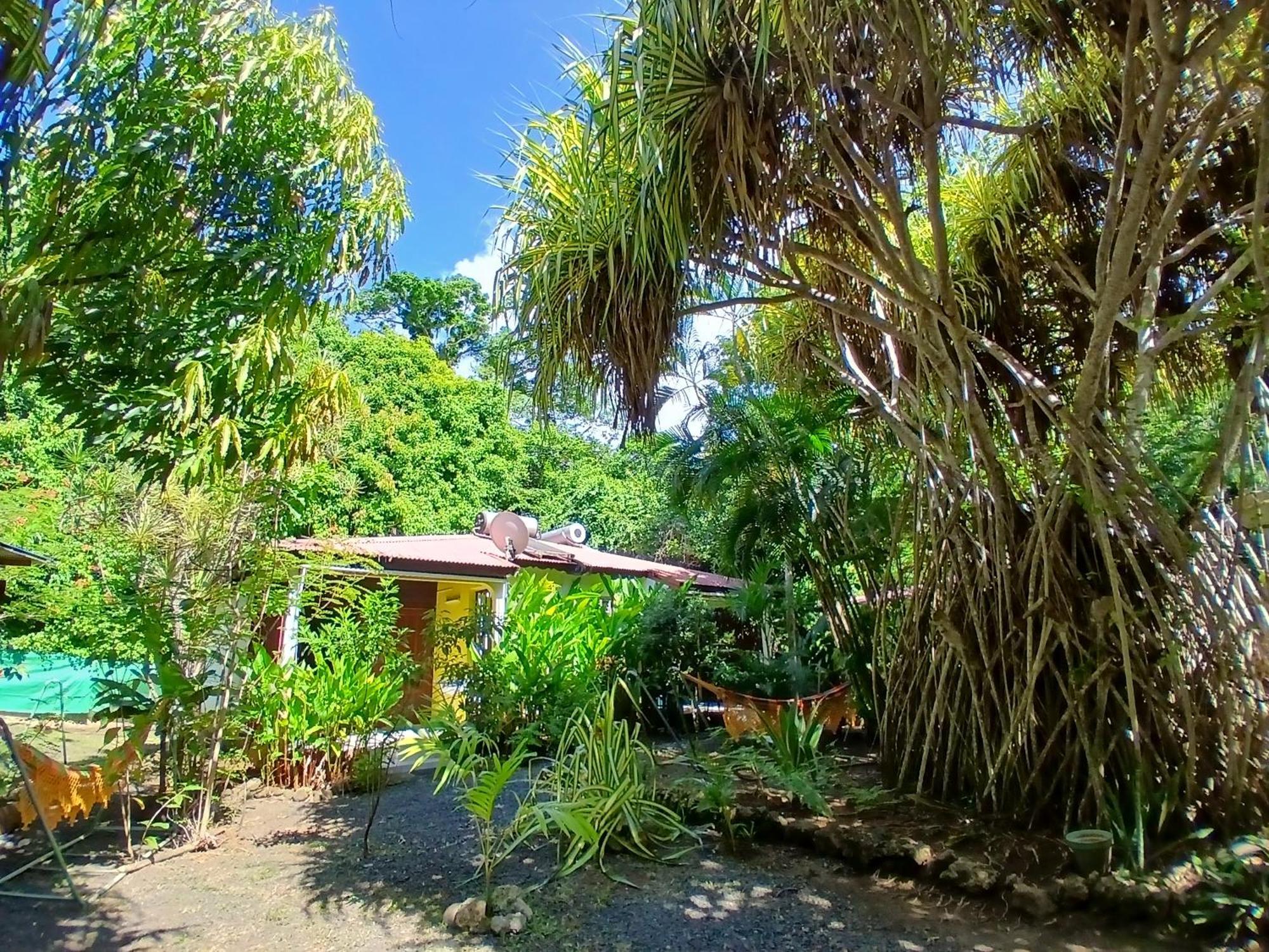 Residence Les Manguiers Pointe-Noire Esterno foto