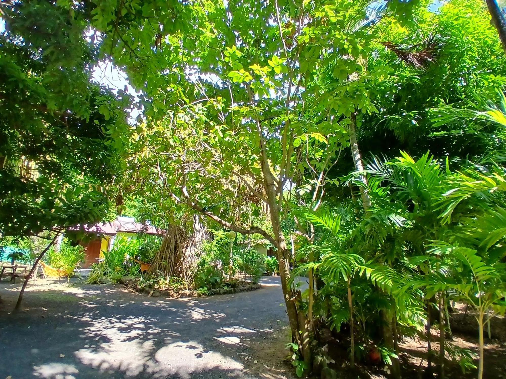 Residence Les Manguiers Pointe-Noire Esterno foto