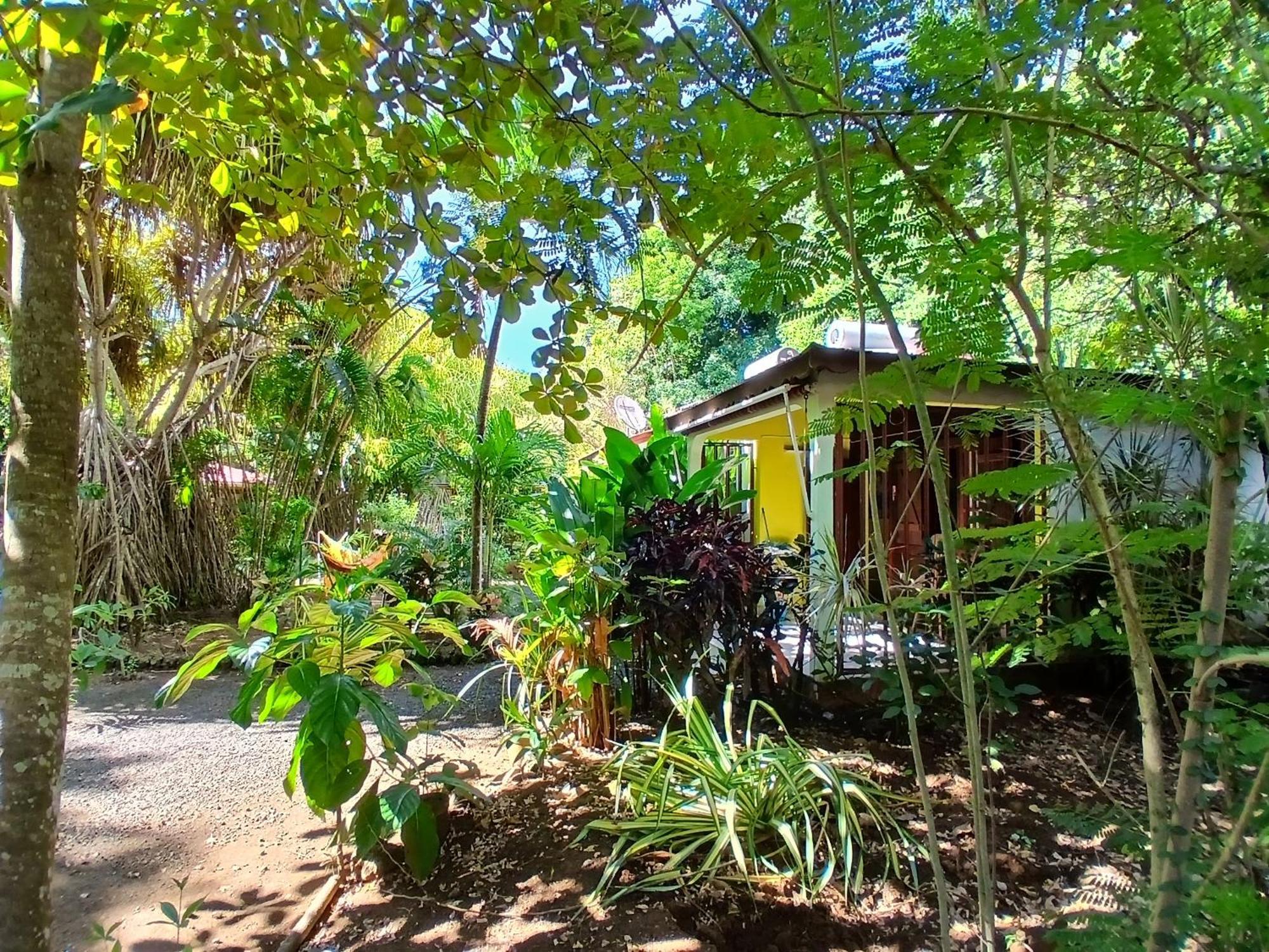 Residence Les Manguiers Pointe-Noire Esterno foto