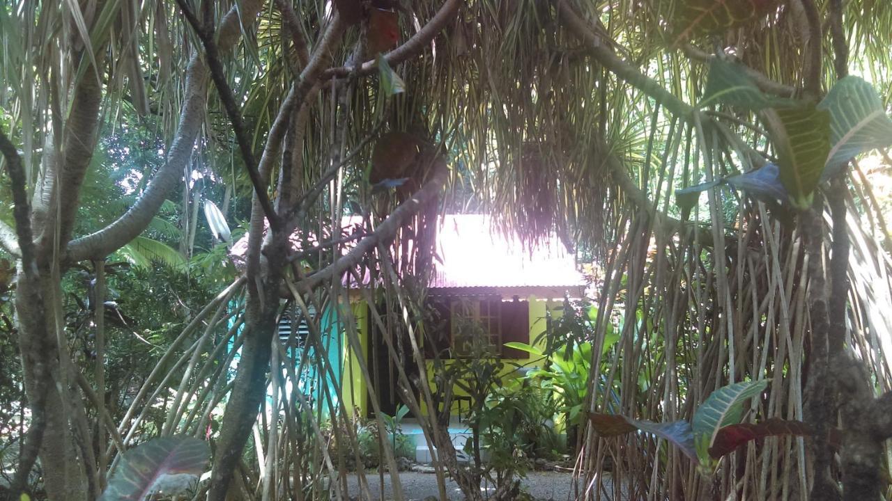 Residence Les Manguiers Pointe-Noire Esterno foto